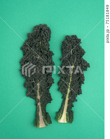 黒キャベツ カーボネロ 黒キャベツ カーボネロ 75181849