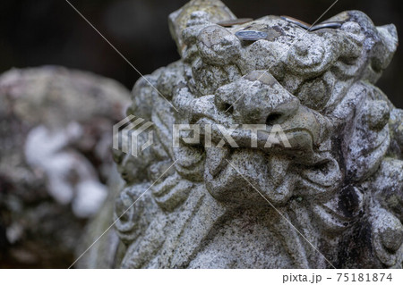 青峯山正福寺 75181874