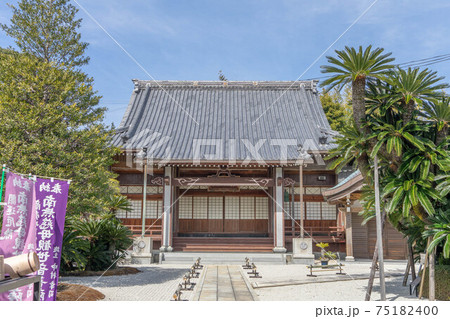 梵潮禅寺 梵潮禅寺 75182400