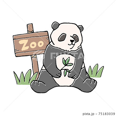 動物園のパンダのイラストのイラスト素材