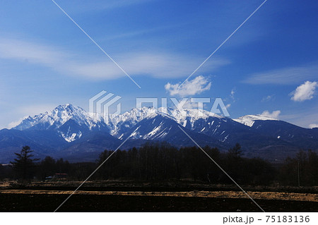 早春の山梨県北杜市　八ヶ岳牧場からの残雪の八ヶ岳 75183136