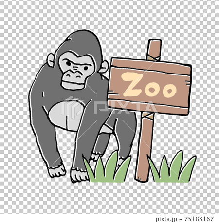 動物園のゴリラのイラストのイラスト素材