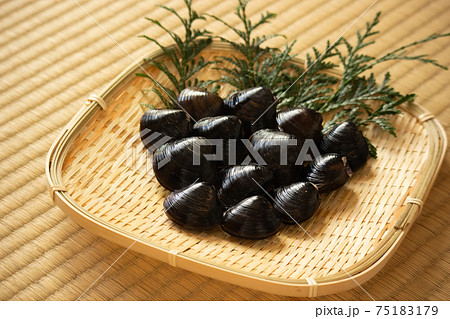 大粒シジミ 75183179