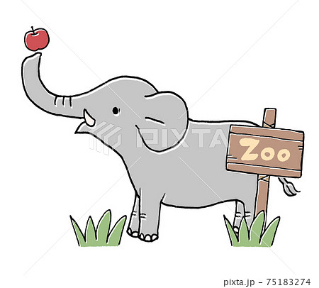 動物園の象のイラストのイラスト素材