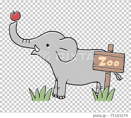 動物園の象のイラスト 動物園の象のイラスト 75183274