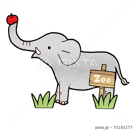 Zoo Elephant Illustration Stock Illustration