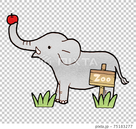 動物園の象のイラストのイラスト素材