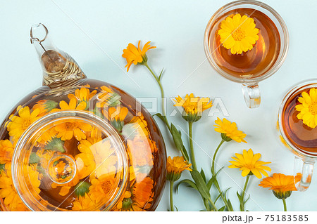 Cups of herbal tea and transparent teapot with calendula flowers on blue background. Calendula Tea Benefits Your Health concept. Top view Flat lay Copy space Cups of herbal tea and transparent teapot with calendula flowers on blue background. Calendula Tea Benefits Your Health concept. Top view Flat lay Copy space 75183585