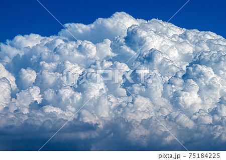 夏空高く雄大に沸く入道雲の写真素材