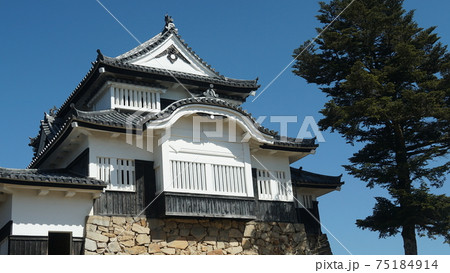 備中松山城 75184914