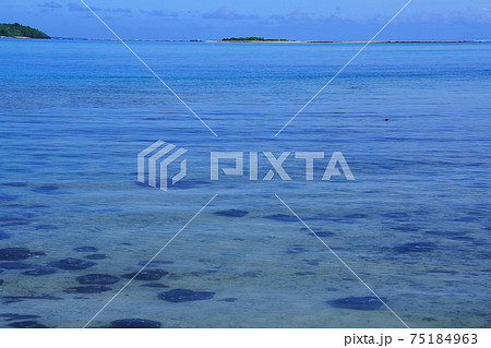 南太平洋の島国サモア独立国 サバイィ島の青い海 南太平洋の島国サモア独立国 サバイィ島の青い海 75184963