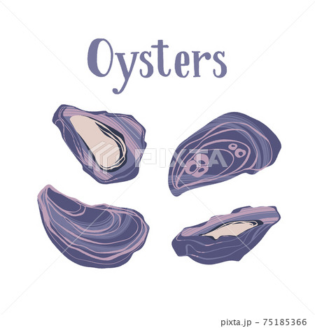 Seafood healthy nutrition product. Gourmet freshest oysters. 75185366