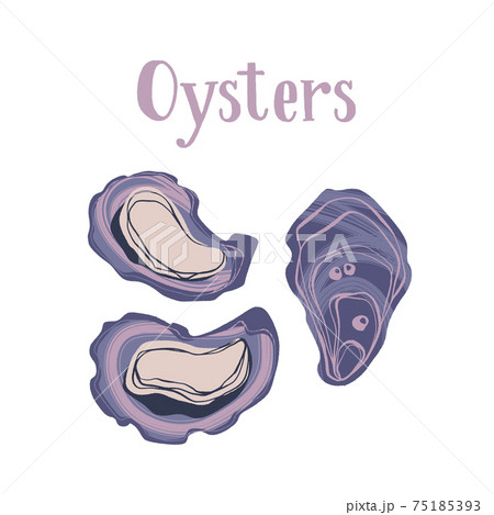 Seafood healthy nutrition product. Gourmet freshest oysters. 75185393