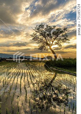 《奈良県》古宮土壇から見る夕陽 《奈良県》古宮土壇から見る夕陽 75185724