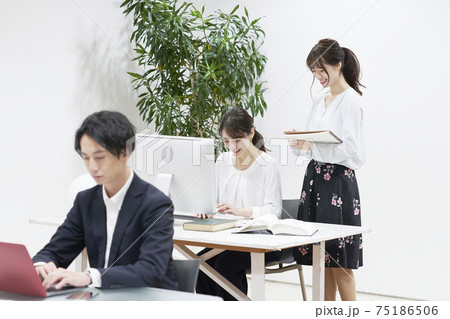 オフィスで働く会社員 75186506