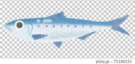 主線なしのお魚イラスト 青魚 イワシのイラスト素材 主線なしのお魚イラスト 青魚 イワシのイラスト素材