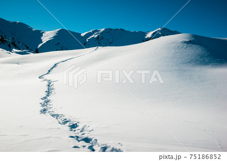 Path trail on winter sunrise, white snow field on the background of frozen mountains 75186852