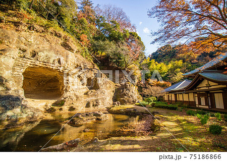 古都鎌倉の秋　紅葉の瑞泉寺　名勝瑞泉寺庭園 75186866