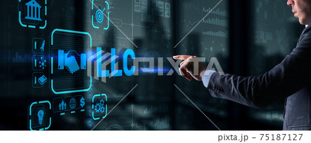 LLC. Limited Liability Company. Business Technology Internet 75187127