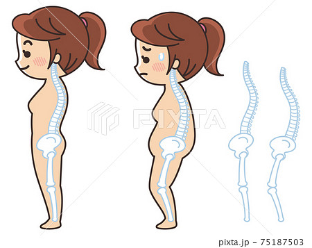 良い姿勢と悪い姿勢 猫背 背骨のイラスト素材