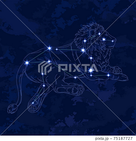 88星座シリーズB-星座絵と星座線-しし座 75187727