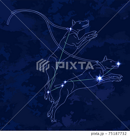 88星座シリーズB-星座絵と星座線-りょうけん座 88星座シリーズB-星座絵と星座線-りょうけん座 75187732