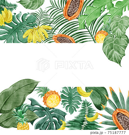 熱帯植物トロピカルフルーツフレームデコレーション 熱帯植物トロピカルフルーツフレームデコレーション 75187777