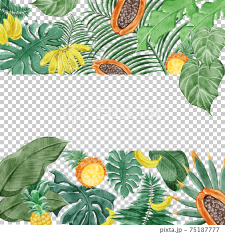 Tropical plant tropical fruit frame decoration 75187777