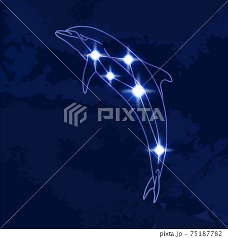 88星座シリーズB-星座絵と星座線-いるか座 88星座シリーズB-星座絵と星座線-いるか座 75187782