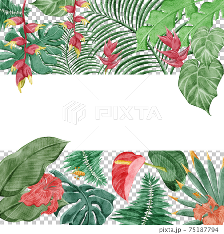 熱帯植物トロピカルハイビスカスフレームデコレーション 熱帯植物トロピカルハイビスカスフレームデコレーション 75187794