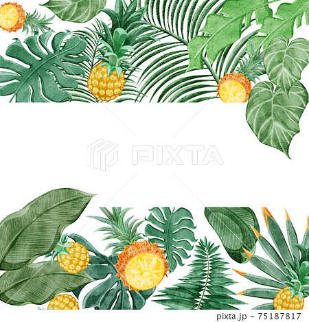 熱帯植物トロピカルフルーツフレームデコレーションのイラスト素材