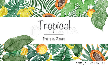 熱帯植物トロピカルフルーツフレームデコレーションのイラスト素材 熱帯植物トロピカルフルーツフレームデコレーションのイラスト素材