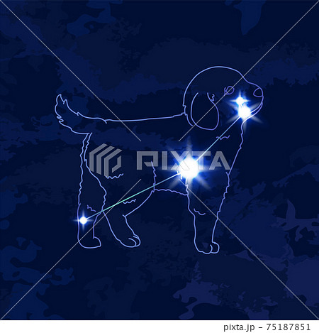 88星座シリーズB-星座絵と星座線-こいぬ座 88星座シリーズB-星座絵と星座線-こいぬ座 75187851