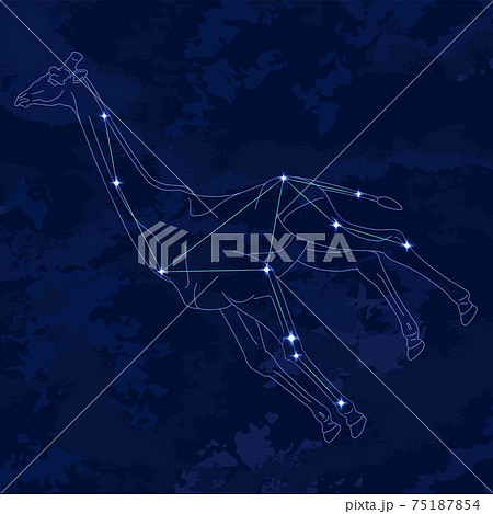 88星座シリーズB-星座絵と星座線-きりん座 75187854