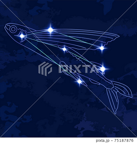 88星座シリーズB-星座絵と星座線-とびうお座 88星座シリーズB-星座絵と星座線-とびうお座 75187876