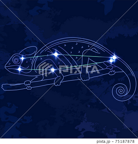 88星座シリーズB-星座絵と星座線-かめれおん座 75187878