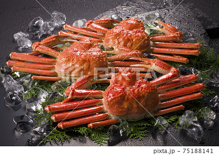 かに　ずわい蟹 75188141