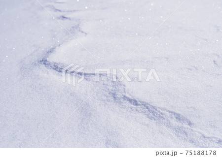 冬期に高山の雪面に見られる風紋シュカブラ 冬期に高山の雪面に見られる風紋シュカブラ 75188178