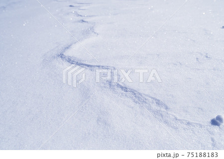 冬期に高山の雪面に見られる風紋シュカブラ 冬期に高山の雪面に見られる風紋シュカブラ 75188183