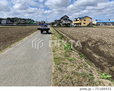 春先の田んぼ 75188433
