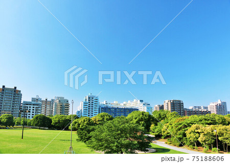 千葉県 青空の幕張海浜公園 千葉県 青空の幕張海浜公園 75188606