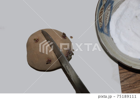 ジャガイモ植え付け準備 75189111