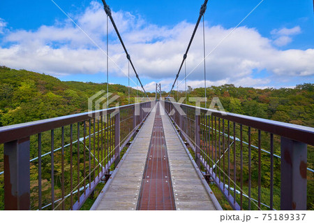 栃木県那須高原の秋のつつじ吊り橋 75189337