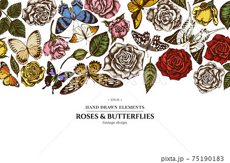 Floral design with colored lemon butterfly, red lacewing, african giant swallowtail, alcides 75190183