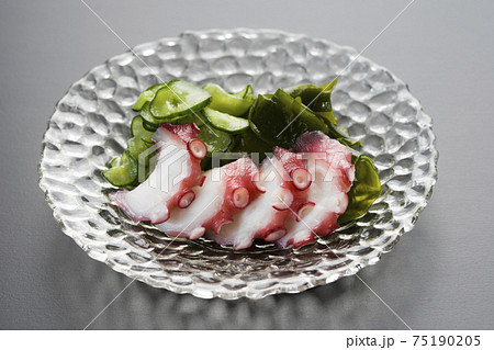 酢の物 酢の物 75190205