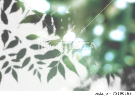 森の木々 75190268