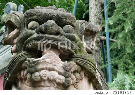 武侯祠　獅子 75191317