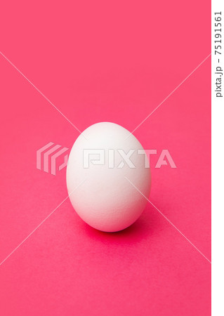 White fresh chicken egg on pink surface 75191561