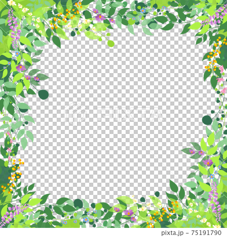 簡單的新鮮綠色框背景_與花_變化 75191790