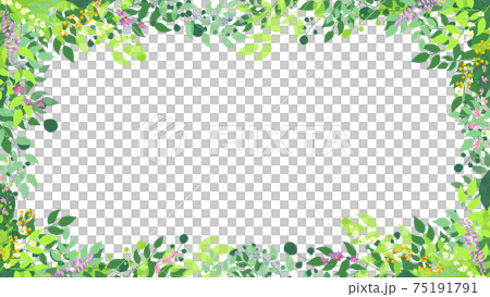 簡單的新鮮綠色框背景_與花_變化 75191791